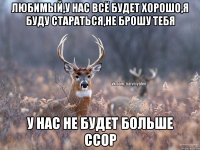 любимый,у нас всё будет хорошо,я буду стараться,не брошу тебя у нас не будет больше ссор