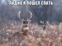 ладно я пошел спать 