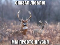 Сказал люблю Мы просто друзья