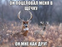 ОН ПОЦЕЛОВАЛ МЕНЯ В ЩЁЧКУ ОН МНЕ КАК ДРУГ