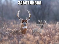 Заботливая 