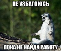 Не узбагоюсь пока не найду работу