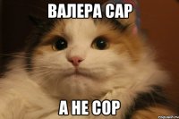 Валера Сap А не Cop