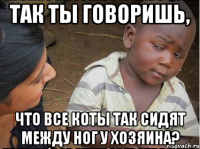 так ты говоришь, что все коты ТАК сидят между ног у хозяина?