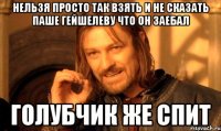 Нельзя просто так взять И не сказать Паше Гейшелеву что он заебал ГОЛУБЧИК же спит