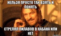 Нельзя просто так взять и понять стрелял Пилавов в кабана или нет