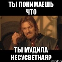 ты понимаешь что ты мудила несусветная?