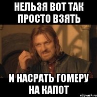 нельзя вот так просто взять и насрать Гомеру на капот