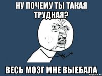 Ну почему ты такая трудная? Весь мозг мне выебала