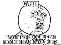 сурок на хуя ты приходишь,раз потом все равно уходишь?!