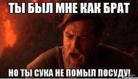 Ты был мне как брат Но ты сука не помыл посуду!