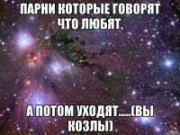 парни которые говорят что любят, а потом уходят.....(вы козлы)