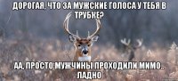 Дорогая, что за мужские голоса у тебя в трубке? Аа, просто мужчины проходили мимо.. Ладно