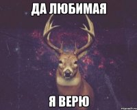 Да любимая Я верю