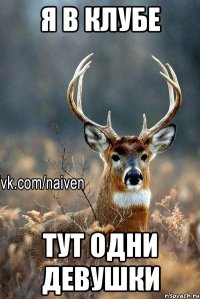 я в клубе тут одни девушки