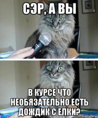 сэр, а вы в курсе что необязательно есть дождик с елки?