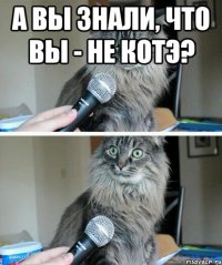 А Вы знали, что Вы - не котэ? 