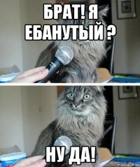 бРАТ! Я ЕБАНУТЫЙ ? НУ ДА!