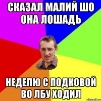 сказал малий шо она лошадь неделю с подковой во лбу ходил