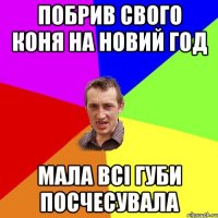 Побрив свого коня на новий год мала всі губи посчесувала