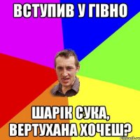 вступив у гівно шарік сука, вертухана хочеш?