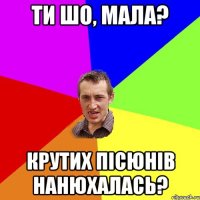 ти шо, мала? крутих пісюнів нанюхалась?