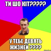 Ти шо кіт????? У тебе девять жизней ????