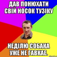 Дав понюхати свій носок тузіку Неділю собака уже не гавкае.