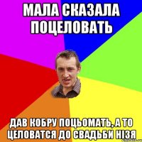 мала сказала поцеловать дав кобру поцьомать, а то целоватся до свадьби нiзя