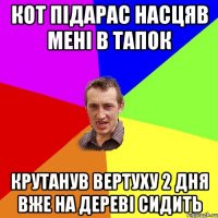 кот підарас насцяв мені в тапок крутанув вертуху 2 дня вже на дереві сидить