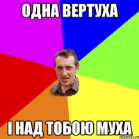 одна вертуха і над тобою муха