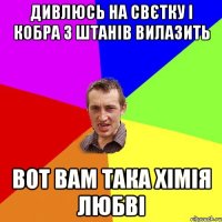 Дивлюсь на Свєтку і кобра з штанів вилазить вот вам така хімія любві