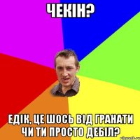 Чекін? Едік, це шось від гранати чи ти просто дебіл?