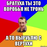 Братуха ты это Воробья не тронь а то вырублю с вертухи