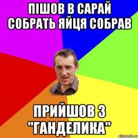 Пішов в сарай собрать яйця собрав Прийшов з "Ганделика"