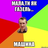 Мала,ти як газель... МАШИНА