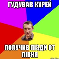 гудував курей получив пізди от півня