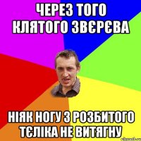 Через того клятого Звєрєва Ніяк ногу з розбитого тєліка не витягну