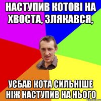 Наступив котові на хвоста, злякався, уєбав кота сильніше ніж наступив на нього