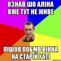 взнав шо Аліна вже тут не живе пішов побмв вікна на старій хаті