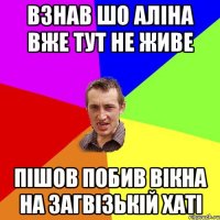 взнав шо Аліна вже тут не живе пішов побив вікна на загвізькій хаті