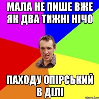 мала не пише вже як два тижні нічо паходу Опірський в ділі