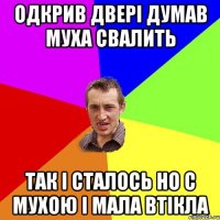 ОДКРИВ ДВЕРІ ДУМАВ МУХА СВАЛИТЬ ТАК І СТАЛОСЬ НО С МУХОЮ і МАЛА ВТІКЛА