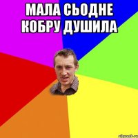 Мала сьодне кобру душила 