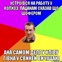 устроЇвся на работу у колхоз, пацанам сказав що шофером Ана самом деле у хліву гівна у свиней вичіщаю