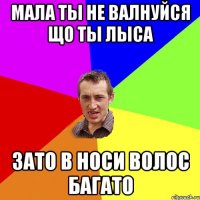 мала ты не валнуйся що ты лыса зато в носи волос багато