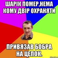 Шарік помер,нема кому двір охраняти Привязав бобра на цепок.