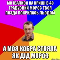 ми їбалися на криші в 40 градусний мороз твоя пизда покрилась льодом а моя кобра стояла як дід мороз