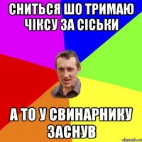 сниться шо тримаю чіксу за сіськи а то у свинарнику заснув