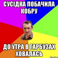 СУСІДКА ПОБАЧИЛА КОБРУ ДО УТРА В ГАРБУЗАХ ХОВАЛАСЬ